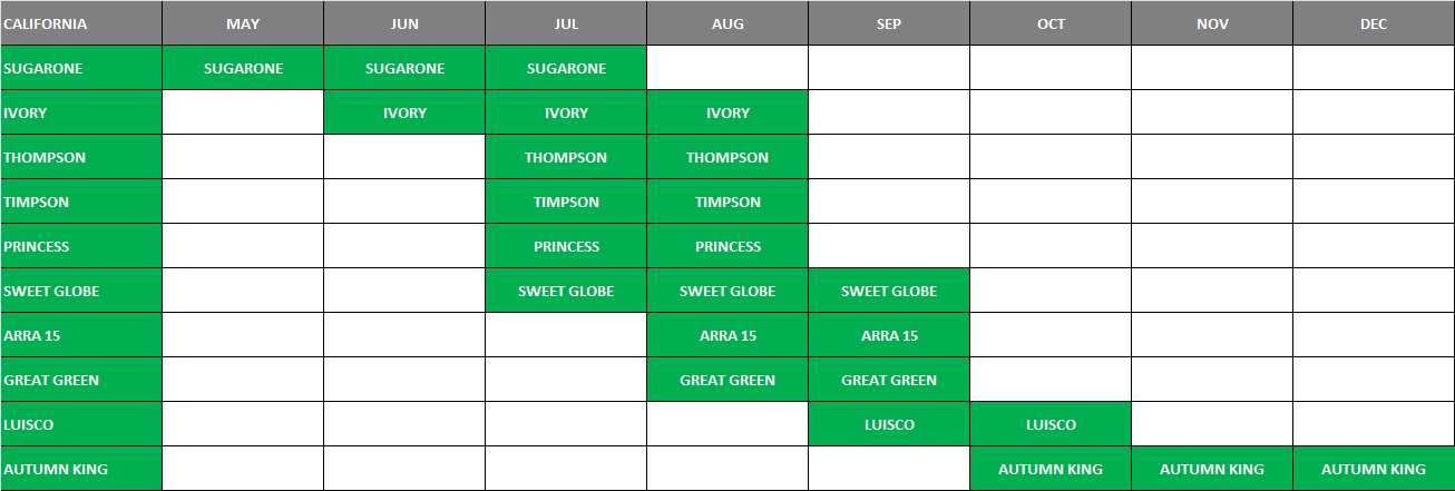 california green grapes schedule