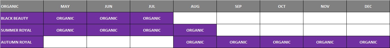 california organic black grapes schedule